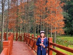 -广州市石门国家森林公园