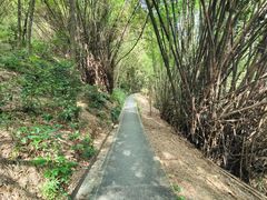 -广州市白云山风景名胜区
