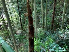 -众神白水涧景区