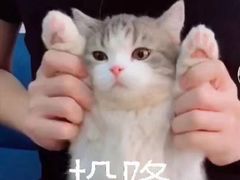 -煲宫(华润万象城店)