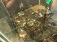 -鳖皇甲鱼餐厅(平阳路店)