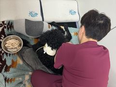 -美联众合动物医院·24h转诊中心