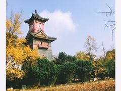 -四川大学(江安校区)