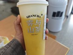 -雾与山茶(大禹城店)