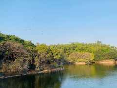 -广州莲花山旅游区