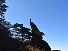 -青枫公园