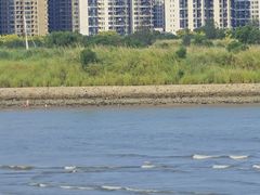 -碧桂园十里银滩