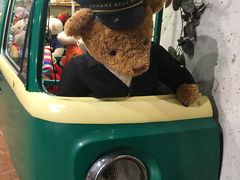 -济州岛泰迪熊博物馆