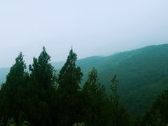 -北京鹫峰国家森林公园