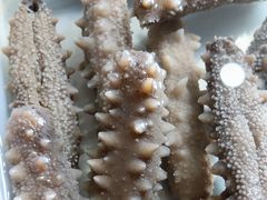 -宫品海参专卖店(静安大宁店)