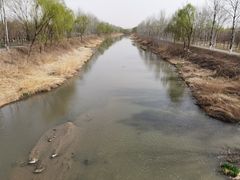 -东郊湿地公园