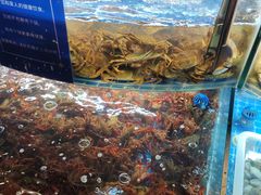 -星伦多自助料理·涮烤一体(虹悦城店)