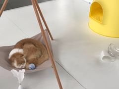 -厦门高崎国际机场-T3航站楼