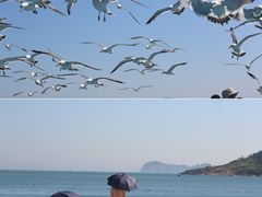 -海驴岛(荣成市)