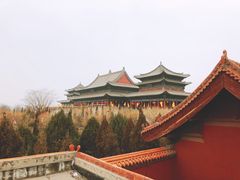-大槐树寻根祭祖园