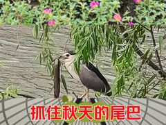 -苏州河梦清园环保主题公园