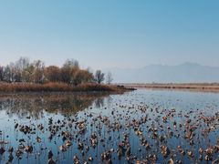 -野鸭湖国家湿地公园