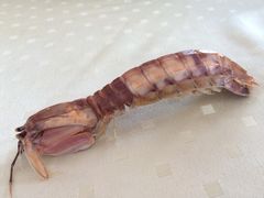 iphone_upload_pic-绢姐海鲜大排档