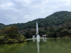 -广州白江湖森林公园