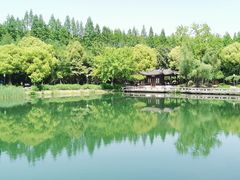 -尚湖风景区