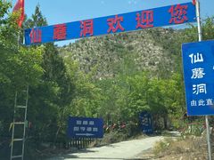 -仙蘑洞
