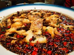 沸腾鱼片-梧桐树下(云锦世家店)