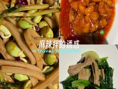 -并州大牌档之醉轻尘