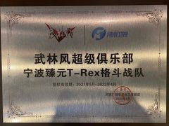 -臻元搏击格斗泰拳拳馆(港隆店)