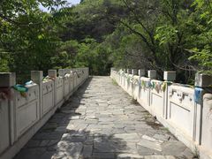 -白水寺森林公园