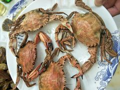 -北戴河庆山饭店·海鲜砂锅粥(北戴河黑石路店)