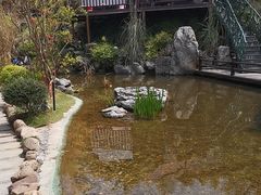 -耕渔小院·湖南鱼鲜(望城店)