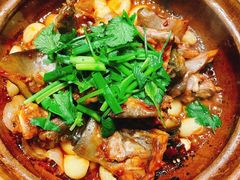 -金龙·打边炉(南京西路店)