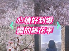 -龙泉峪长城