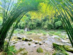 -三峡人家风景区