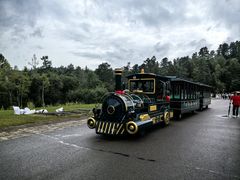 -五营红松林海景区