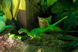 -恐龙探索乐园(磁器口店)