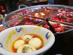 -白乐天毛肚火锅馆(南滨路店)