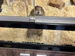 -宠物世家(仲盛世界商城店)