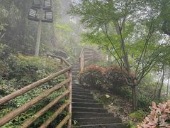 -大金鹰园