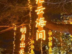 -万泉公园