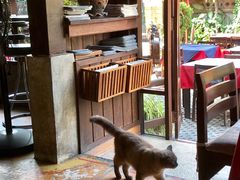 -Dash Teak House