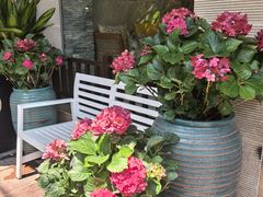 -阿诺泰·泰国餐厅(紫荆店)