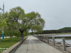 -珍宝岛