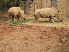 -荆州中山公园动物园