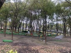 -嘉北郊野公园