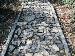 -上海佘山国家森林公园天马山园