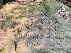 -缙云山景区