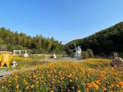 -宁波浙东大竹海景区