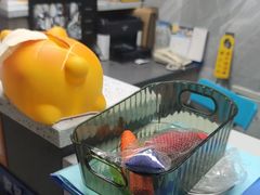 -半岛宠物医院24小时(白果林店)