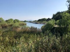 -苏州太湖湖滨国家湿地公园